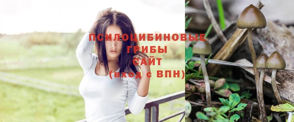 индика Алексин