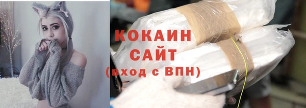 индика Алексин