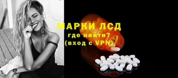 индика Алексин