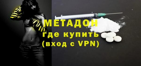 индика Алексин