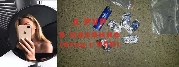 индика Алексин
