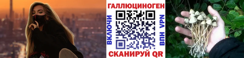 mega как войти как найти Мантурово это состав Псилоцибиновые грибы мицелий